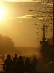 Мосеев а.А. 023